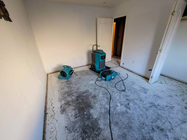  Balcones Heights, TX Water damage restoration Pros