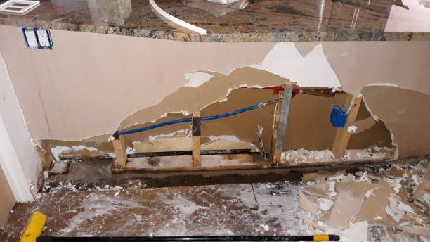 Best Residential water damage restoration  in Balcones Heights, TX