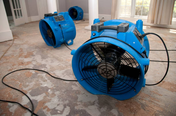 Best Sewage cleanup and water damage restoration  in Balcones Heights, TX