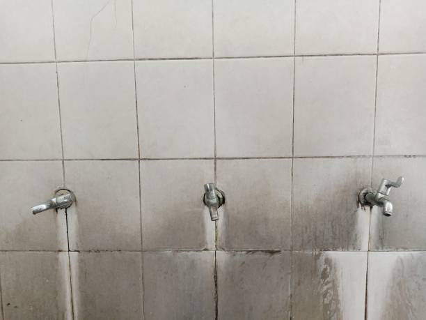 Best Commercial water damage restoration  in Balcones Heights, TX
