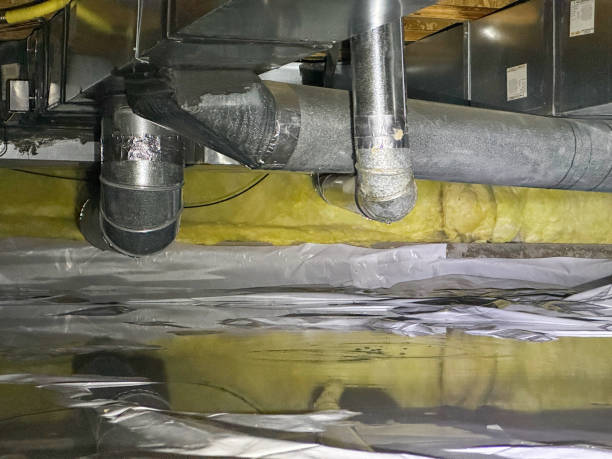 Best Water damage restoration near me  in Balcones Heights, TX